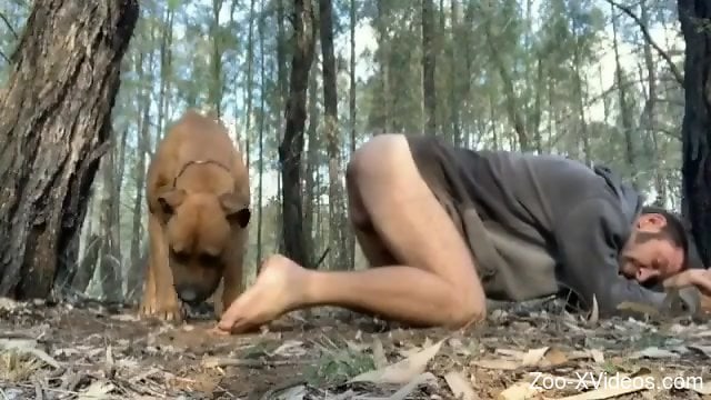 Порно с животными. Жаждущего парня трахают на четвереньках в лесу