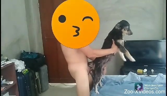 Порно с животными. Чувак прячет лицо, занимаясь сексом со своим сексуальным животным