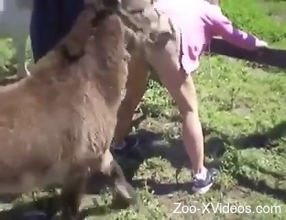 Порно с животными. Пышная мамочка, которую трахает животное с большим членом