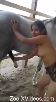 Порно с животными. Горячая девушка ласкает конский пенис на улице