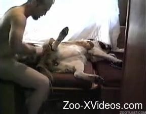 Порно с животными. Белая собачка с узким отверстием, которую очень сильно трахают в любительском зоопарке XXX