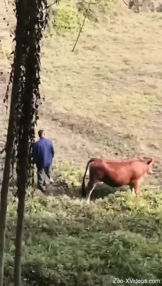 Порно с животными. Парень медленно, но верно дает понять свои намерения