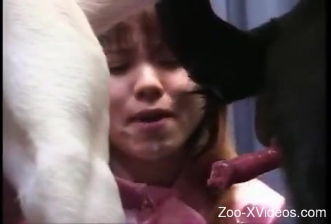 Порно с животными. Японская девушка, которую две собаки трахают в рот в позе ММФ