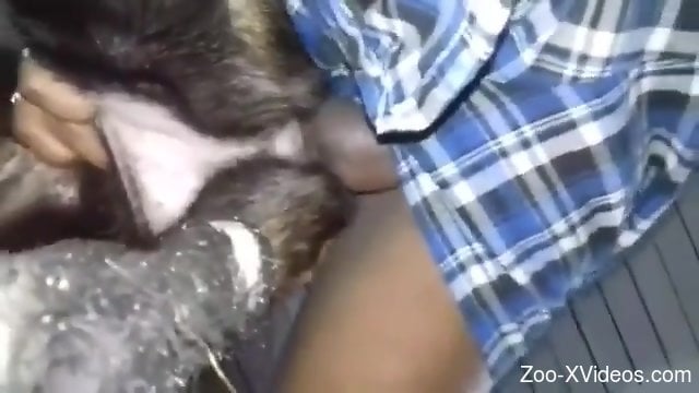 Порно с животными. Волосатая собачка подвергается извращенному зоофилу с большим членом