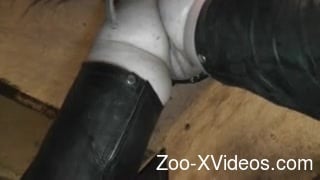 Порно с животными. BBW MILF, которую доминирует большой конский пенис