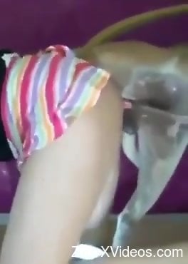 Порно с животными. Сексуальная женщина снята на видео, как она принимает собачий член сзади