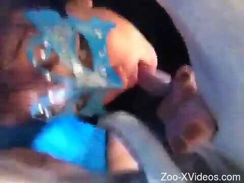 Порно с животными. Красавица в маске сосет собачий член в отличных видео с веб-камеры