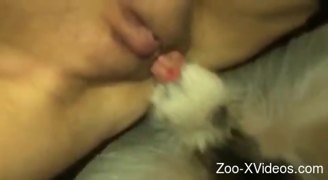 Порно с животными. Ненасытная зоофильная киска, которую глубоко трахают