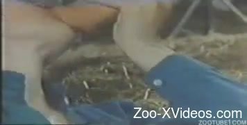 Порно с животными. Порно с лошадьми в грубых сценах с участием распутной женщины
