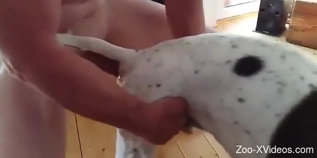 Порно с животными. Белую собаку собираются подстрелить сзади