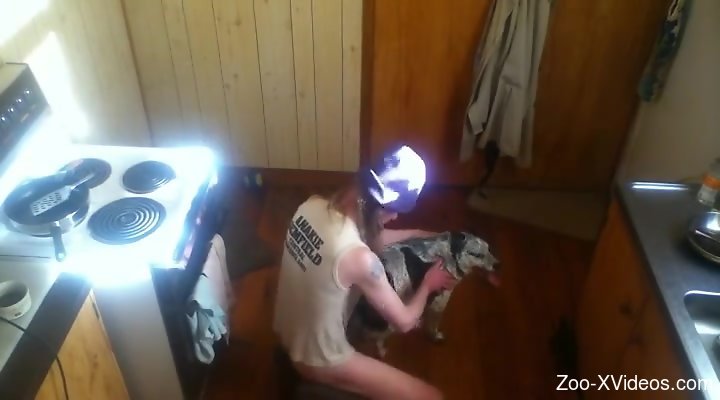 Порно с животными. Возбужденный мужчина, снятый на видео в домашних условиях, занимается анальным сексом с собакой