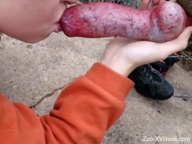 Порно с животными. Горячая девушка целует этот сочный собачий пенис