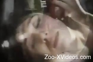 Порно с животными. Темноволосая красавица получает минет в видео из зоопарка