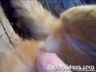 Порно с животными. Смотрите, как я играю с тугим анусом животного