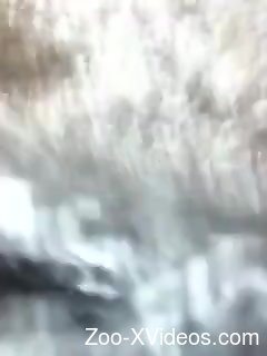 Порно с животными. Чувак с твёрдым членом доминирует над горячей дыркой зверя