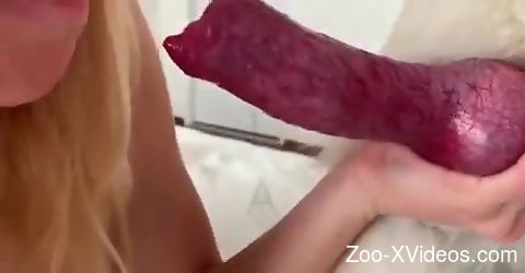 Порно с животными. Блондинка сосет вкусный собачий член, пока не кончит.