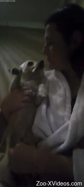 Порно с животными. Мужчина пытается поиграть с пенисом своей собаки в непристойных сценах