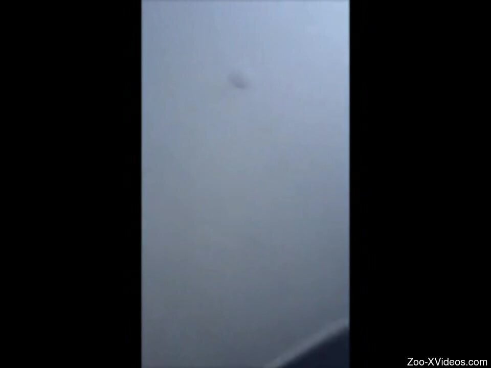 Порно с животными. Похотливая шлюха запечатлена на видео в мельчайших подробностях, как собака ее трахает